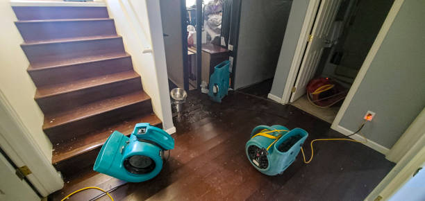 Best Water damage restoration near me  in Idyllwild Pine Cove, CA