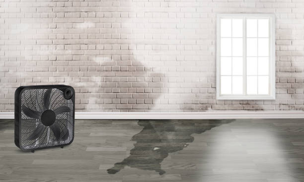 Best Emergency water damage restoration  in Idyllwild Pine Cove, CA