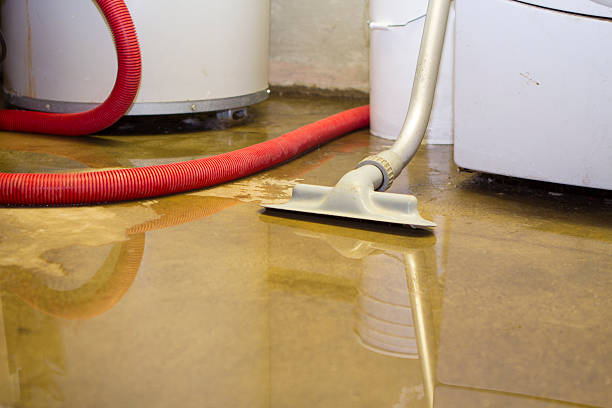 Best 24-hour water damage restoration  in Idyllwild Pine Cove, CA