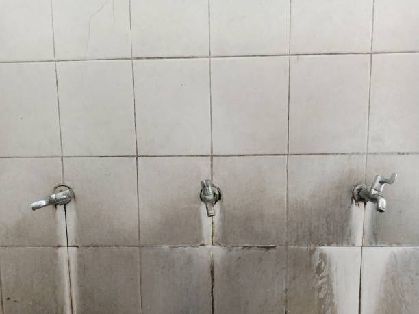 Best Local water damage restoration  in Idyllwild Pine Cove, CA