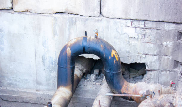 Best Water damage restoration near me  in Idyllwild Pine Cove, CA