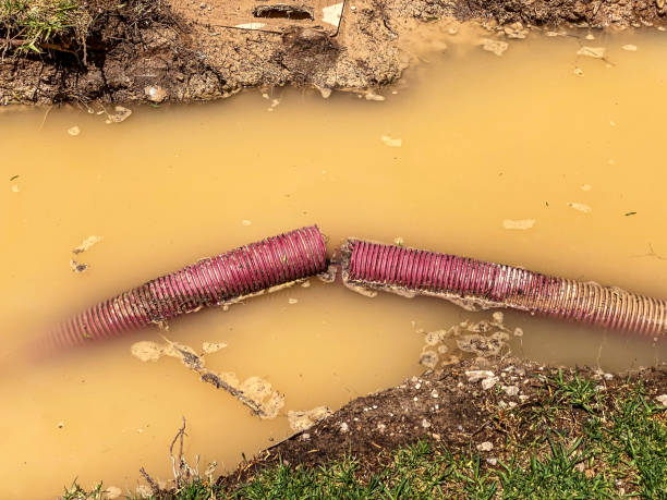 Best 24/7 water damage repair  in Idyllwild Pine Cove, CA