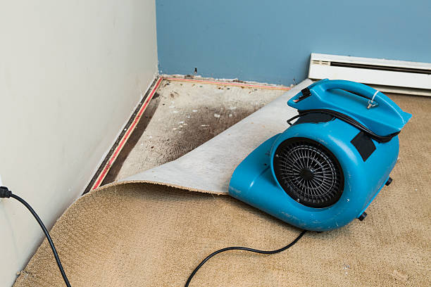 Best Flood damage cleanup  in Idyllwild Pine Cove, CA
